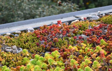the cost of Harpenden Common green roof installation