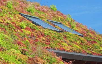 Harpenden Common living roof systems