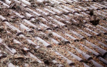 Harpenden Common roof cleaning companies